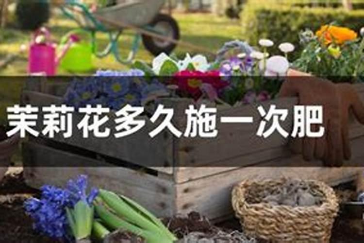 我想问一下花土栽多久可以施肥