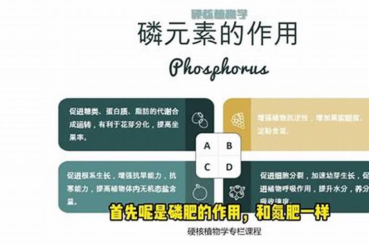 有哪些弱碱性天然矿泉水推荐？