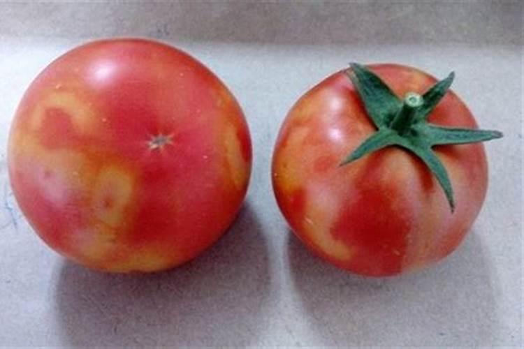 草木灰十大禁忌