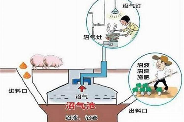 沼气液怎么利用