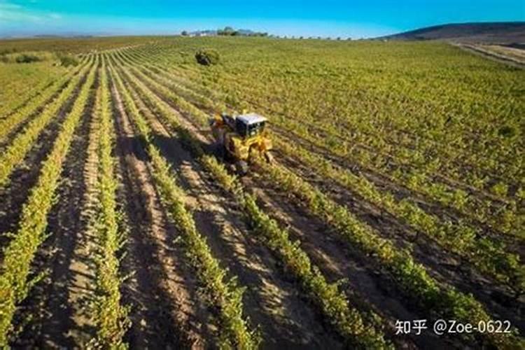 请问钾肥在中国是属于稀缺资源吗？