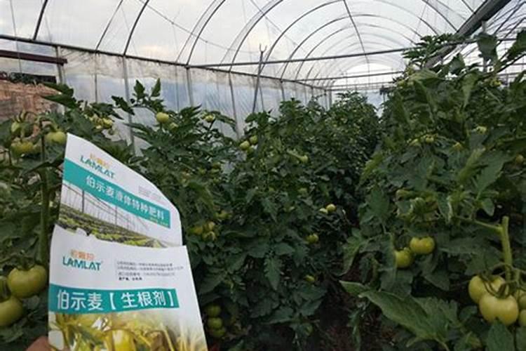 养淡水鱼水质是碱性好还是酸性好