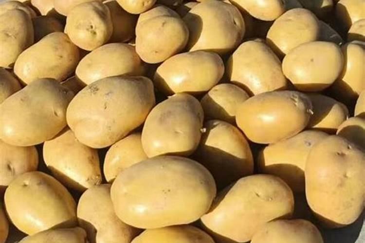 土豆增产膨大剂有哪些