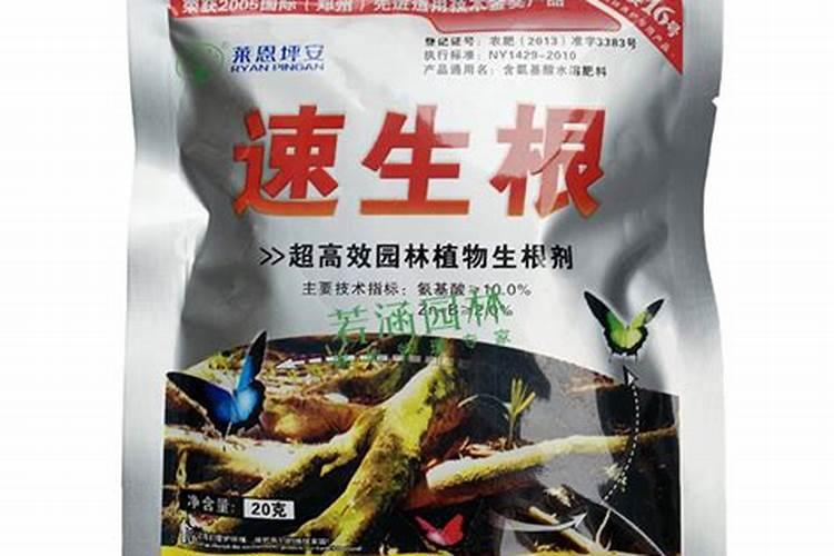 什么水溶肥能促进根系发达？果树如何育苗快速生根？