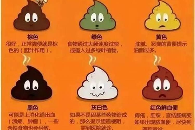 大粪为什么可以当化肥用