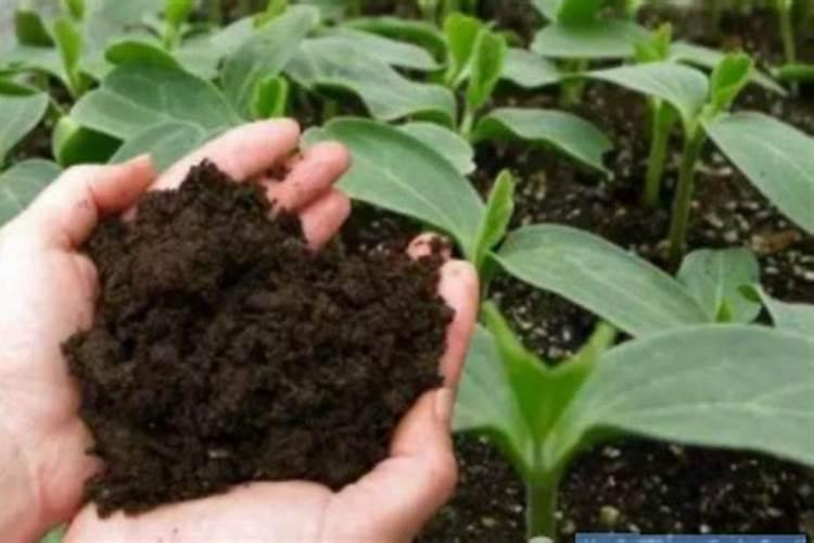 怎样做鸡粪凹凸棒有机肥