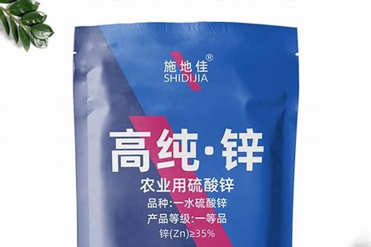 黄瓜烂龙头致减产!注意这几点,黄瓜长势旺!