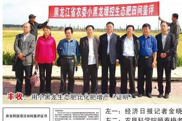 100斤老三样化肥配方玉米