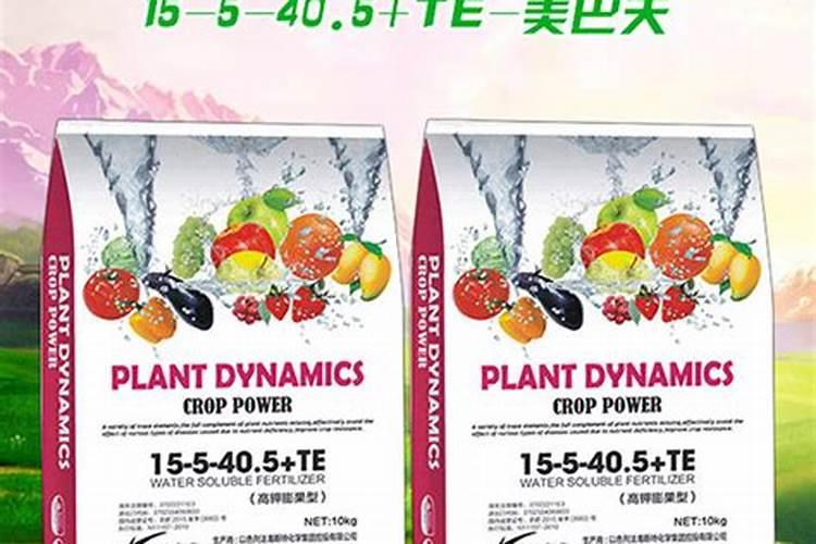 北京和合治疗仪价格