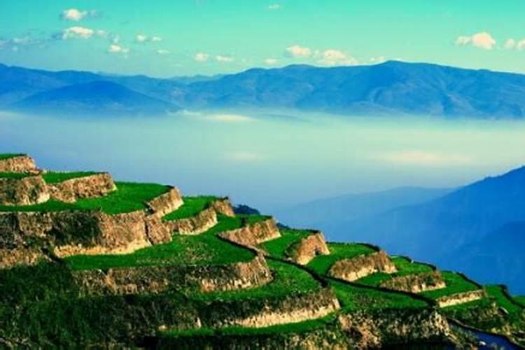 哈尼梯田红米的耕种方式