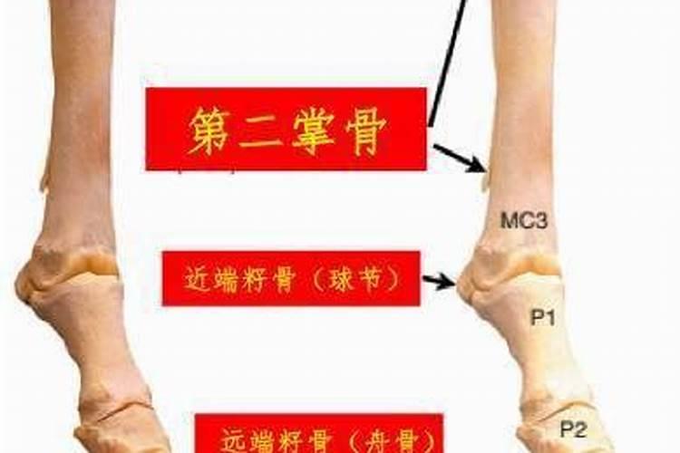 玉米苗高低不齐怎么打控旺药