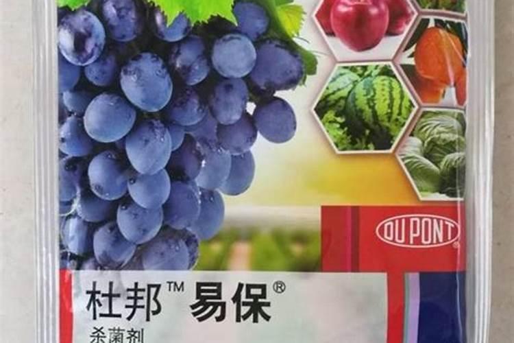 有机肥能和钙肥混用吗