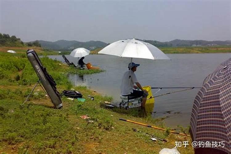 都说水肥难钓鱼,肥水应该怎么钓鱼,如何在肥水塘中钓好鱼呢？