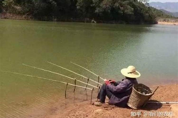 肥水水域的鱼比较难钓,要想钓爆护,应该从哪些方面着手？