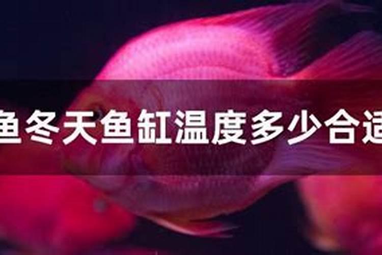 发酵好的鱼蛋白怎样保存不会坏