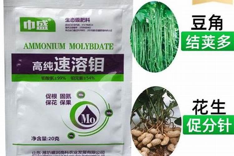 豆角什么时期用钼肥