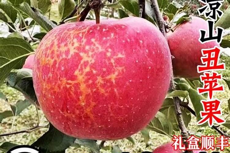 苹果用什么水溶肥好