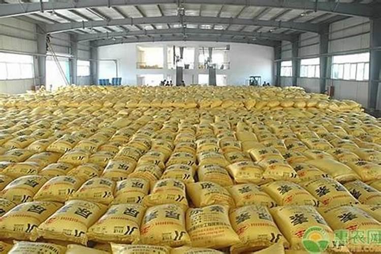 种玉米用什么底肥最好
