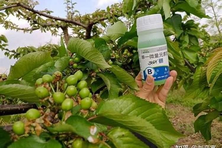 花生高产三遍药批发价格？花生开花期喷什么叶面肥？