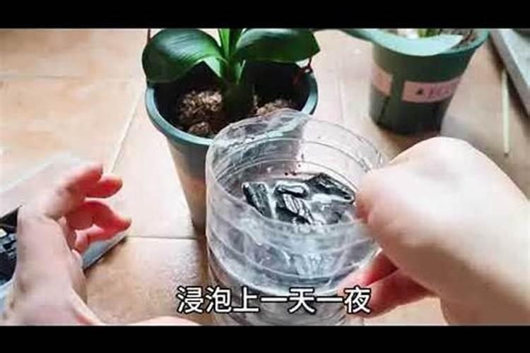 磷钾肥怎么浇花正确使用方法？分芽期可以用吗？