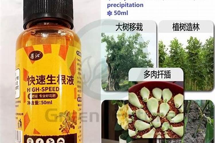 生根和果树、花卉肥料的问题