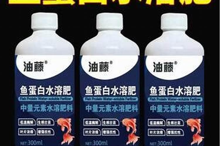 鱼缸水表面起泡怎么回事