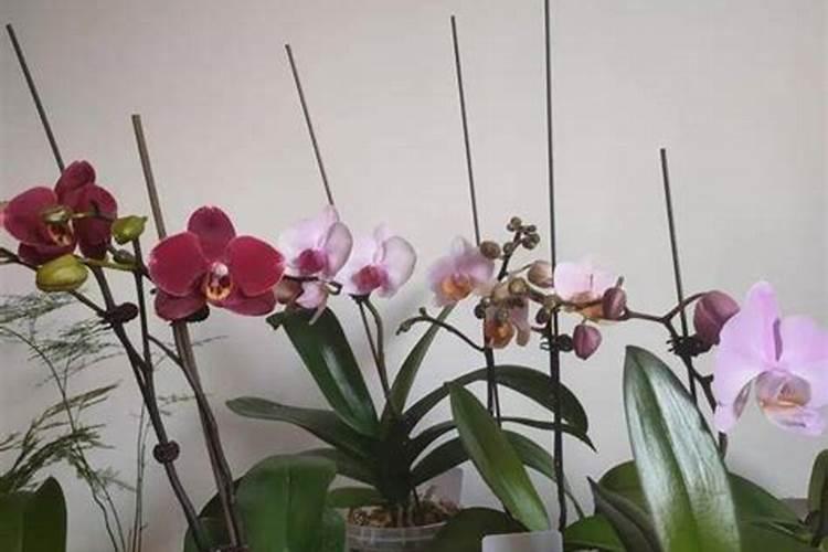 化学中氮肥不能和什么用