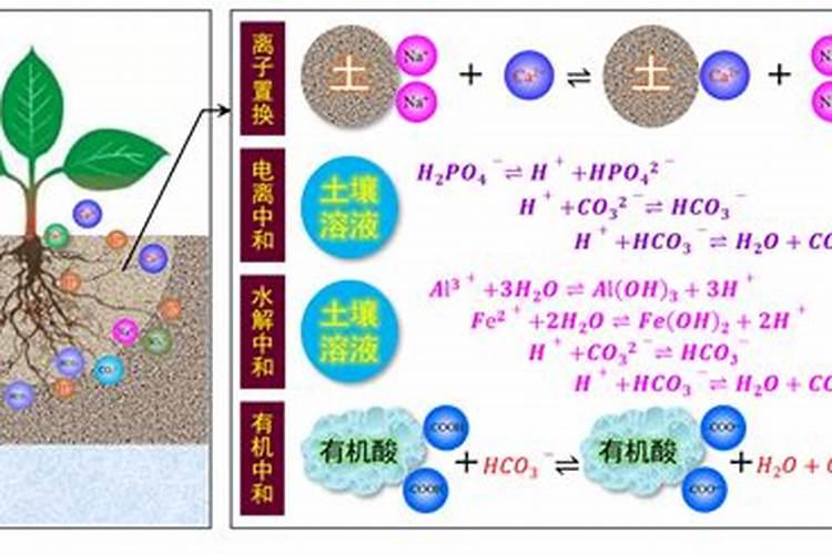 小麦一生需要多少肥料,分几次追施为好？