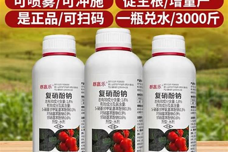 爱多收复硝酚钠冲施西红柿膨果有影响吗？