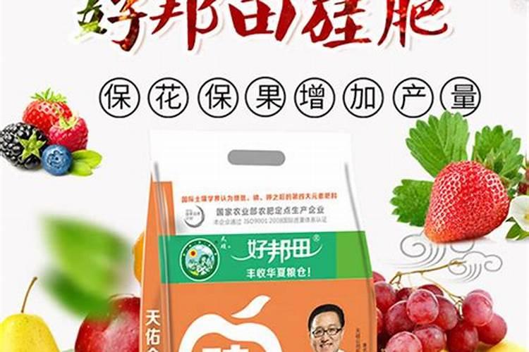 中量元素肥料对于绿植花卉最大的的作用与功效