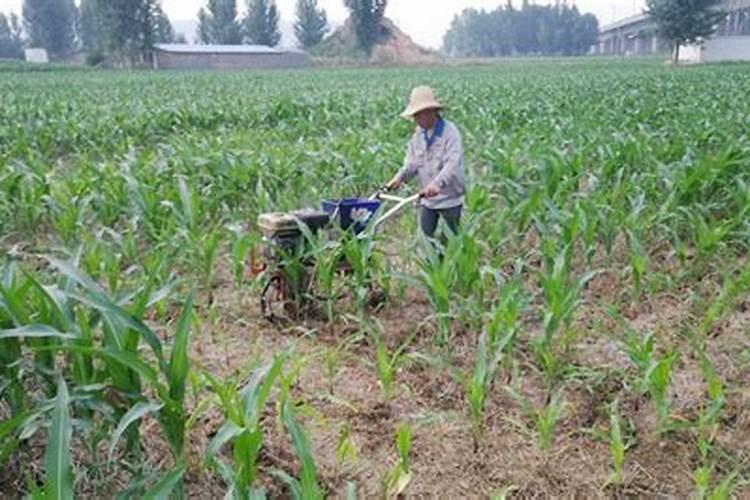 手拉手肥料是控释肥吗