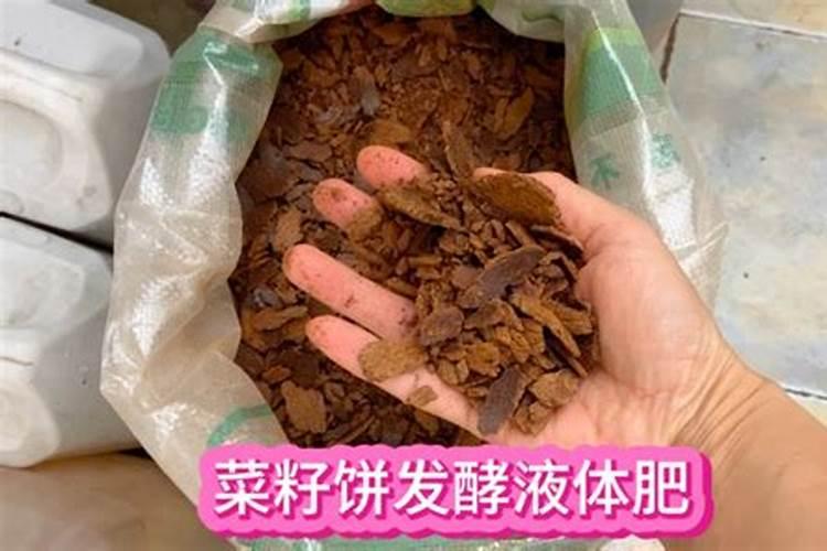 油桐树树叶可以沤肥种蔬菜吗？