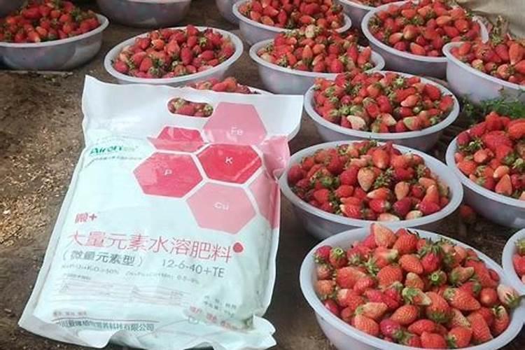 桃树用什么肥料最好