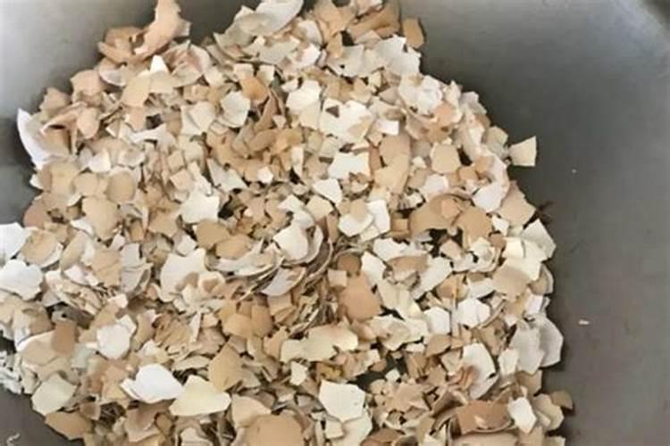 追肥是满足马蹄的营养需求,马蹄该怎么追肥？