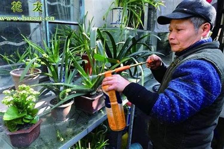 怎么给花施复合肥