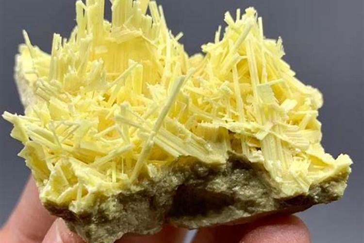 西红柿钾肥中毒怎么解决？