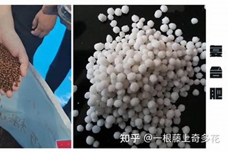 水溶肥和冲施肥有什么区别？