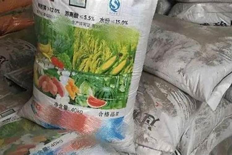 茶园如何使用磷肥？