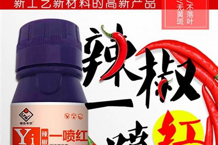 朝天椒为什么果实刚要红就软手