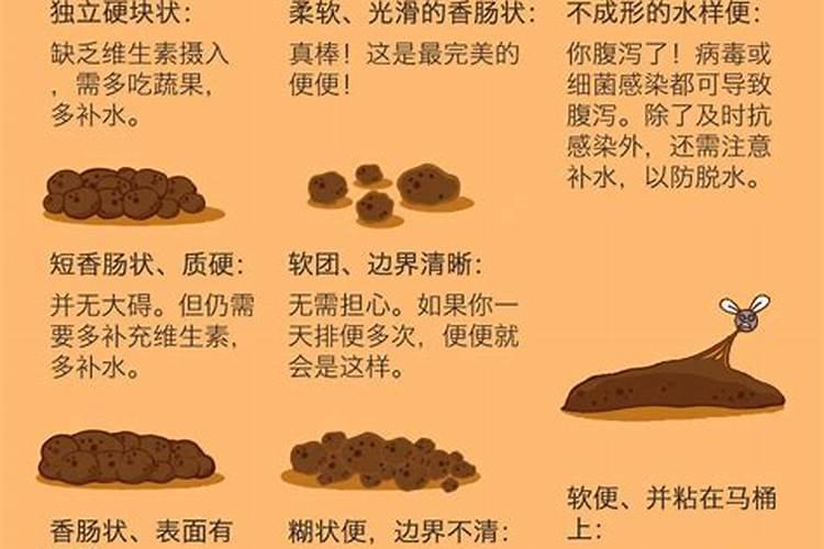 什么粪含钾肥最多