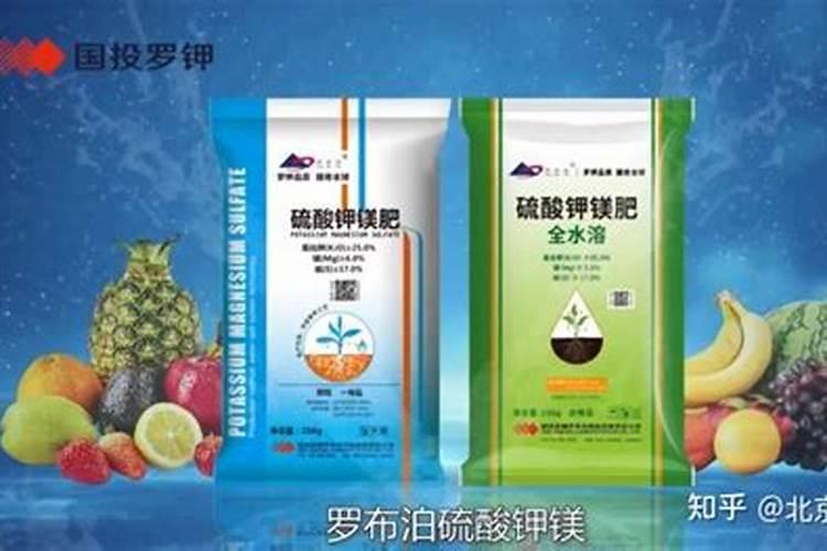 硫酸钾镁肥作用和使用方法