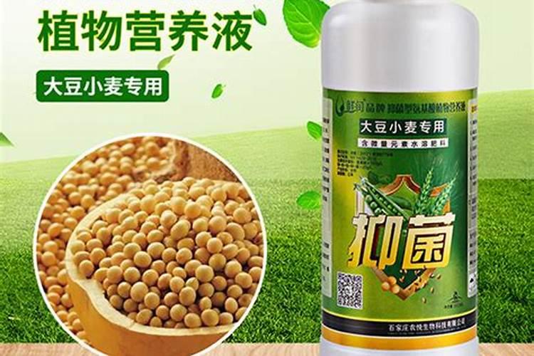 什么叫氨基酸水溶肥,含氨基酸水溶肥原料分析