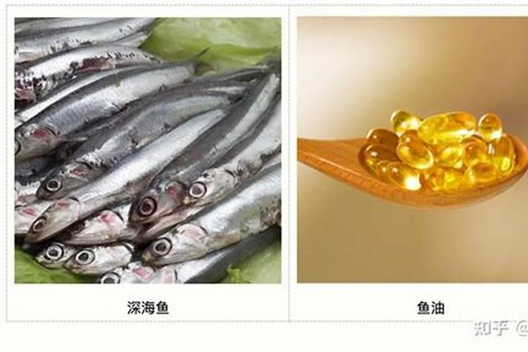 鱼白是鱼油吗？