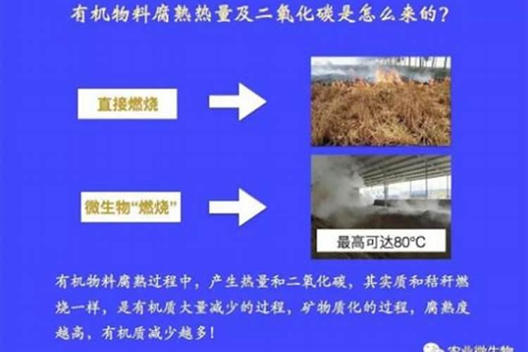 有机肥里面含有的什么元素比较多