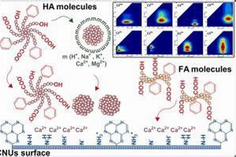 水产腐植酸钠的用途 黄腐酸和腐殖酸的区别