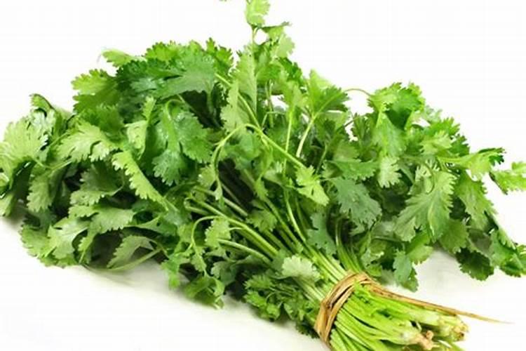 什么时候施冲施肥？施肥受天气影响吗？