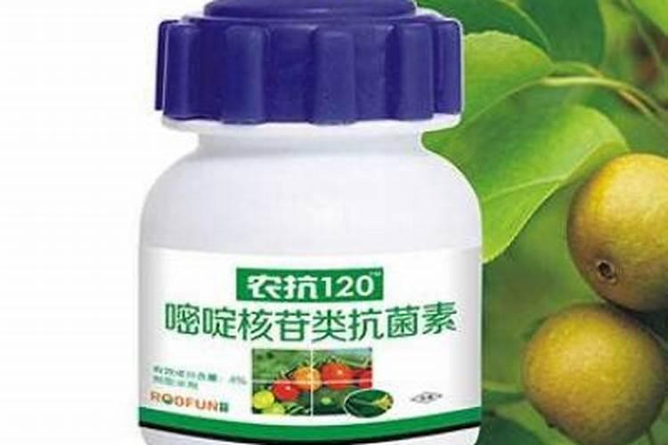 井岗霉素 阿维菌素 农抗120 赤霉素的使用方法和注意事项