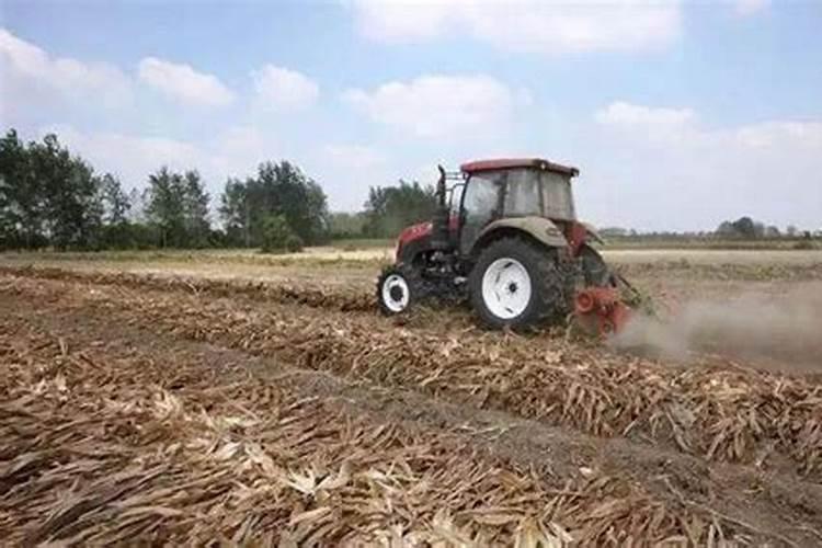秸秆还田的方法及注意事项