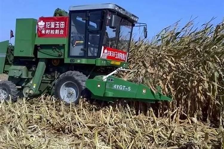 玉米秸秆还田 技巧