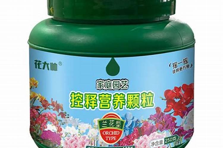 怎么让兰花抽花箭开花苞